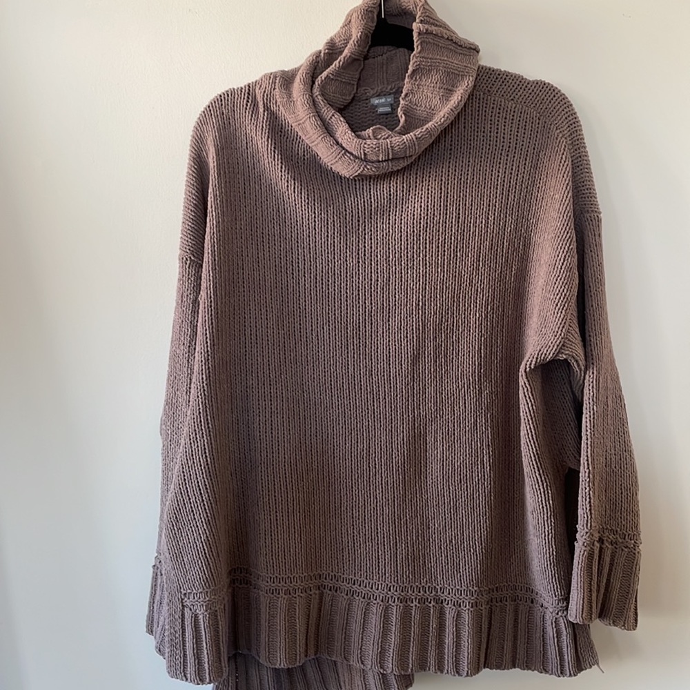 Aerie turtleneck